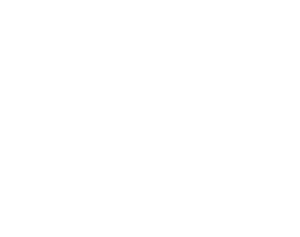 logo cerboni white
