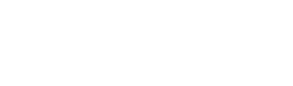 logo deliversense white