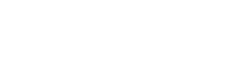 logo lion chaser development group white