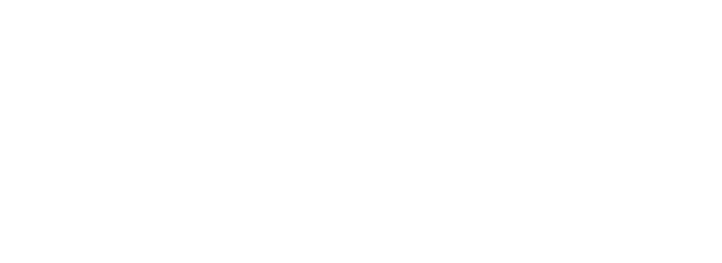 logo envysion white